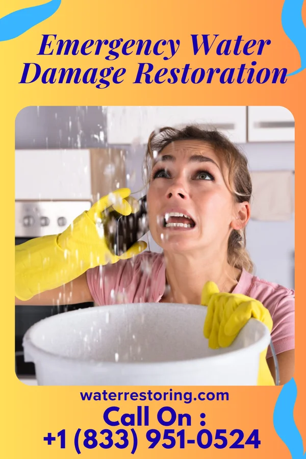 Emergency Water Damage Restoration in Jericho, AR